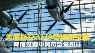 [视]看似和往常即将降落机场.离奇转向坠进树林.美鷹航空3379号纪录片