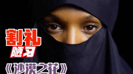 [文]剧情《沙漠之花》电影解说文案