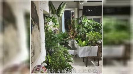 [文]剧情《幻之光》电影解说文案