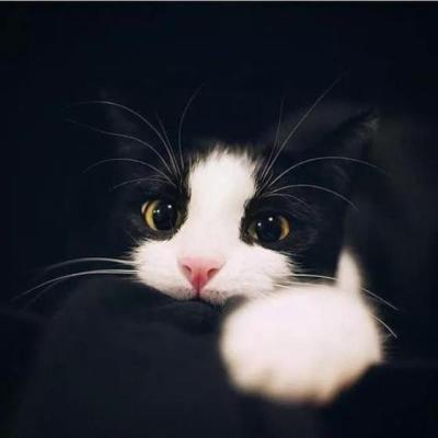 【唯美】超级难过的句子文案（很伤心难过的文案）