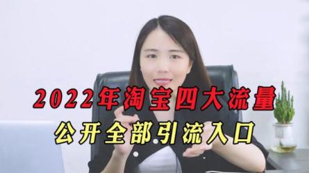 「-2022小淘全网引流术，助...流量适合任何产品」-课程-网盘资源分享