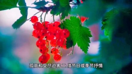 「抖音方法论」「手把手教你零基础写作，业余时间月入...-课程-网盘资源分享