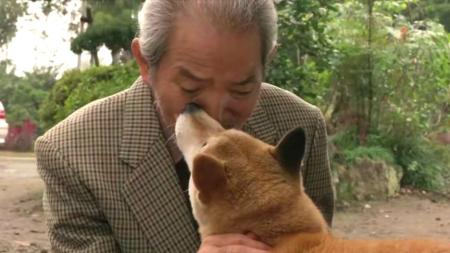 [文]剧情片《向日葵与幼犬的7天》电影解说文案