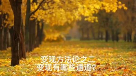 「新媒体变现思维与方法论」-课程-网盘资源分享