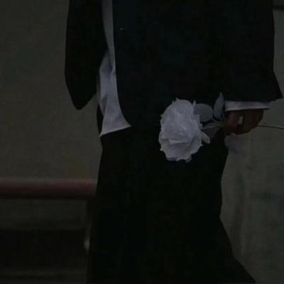 【爱情】他不爱我莫文蔚歌曲文案（莫文蔚他不爱我歌词）