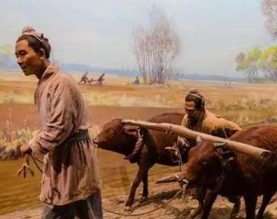 探秘古代法律：贵族与平民之间的生死权