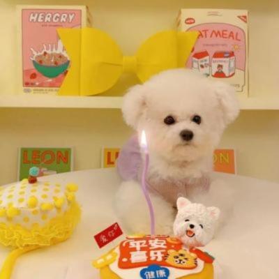 【爱情】爱情文案危险心动