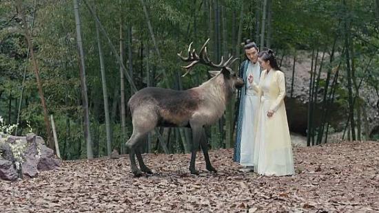 《扶摇》_第32集_分集剧情