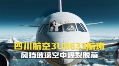 [视]机组临危不乱.成功处置世界级航空险情.难度超此前同类事故纪录片