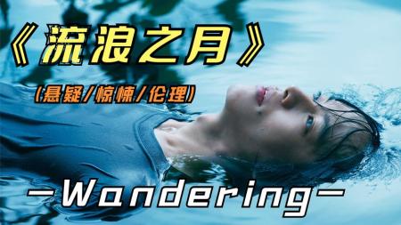 [文]悬疑《流浪之月》电影解说文案