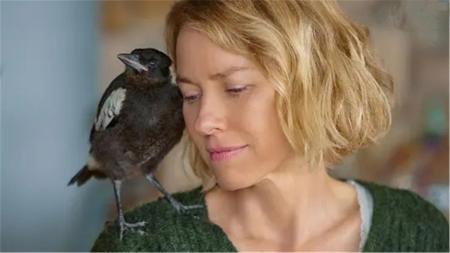 [文]剧情《企鹅布鲁姆》电影解说文案