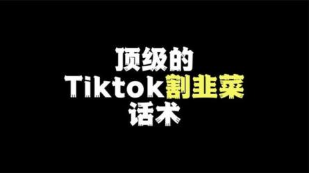 TikTok海外短视频，线上陪跑训练营，价值3980元-课程-网盘资源分享