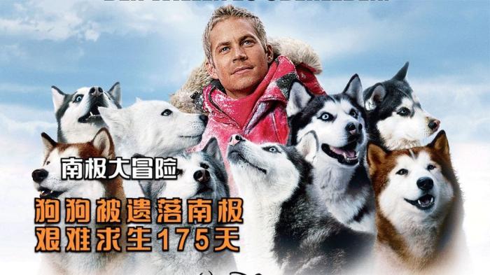 电影《南极大冒险》--[原创首发]-吾爱文案网