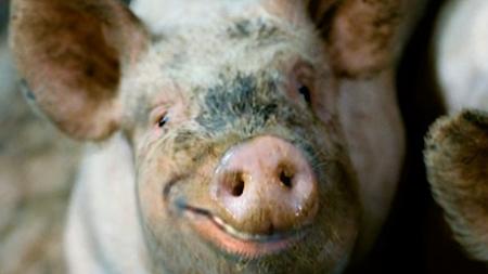 [文]惊悚恐怖《殴打诱发者》电影解说文案