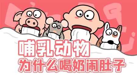 [文]剧情电影《哺乳动物》解说文案