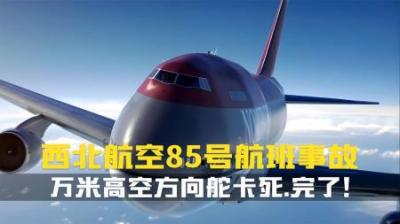 [视]高空惊魂：万米之上，方向舵卡死，机组如何绝处逢生？纪录片解说
