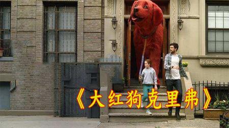 [文]家庭《大红狗克里弗》电影解说文案