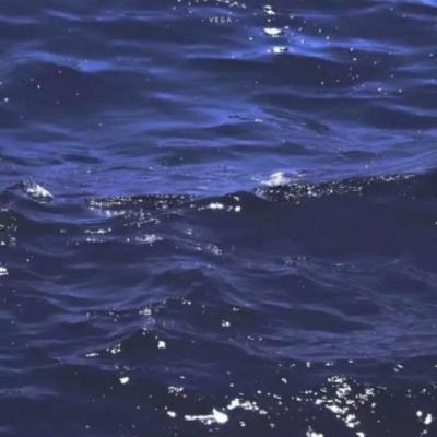 【经典】关于一心求财的文案（深海有财的文案）