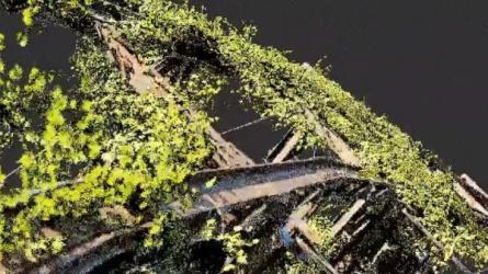 blender爬山虎藤蔓几何节点教程-课程-网盘资源分享