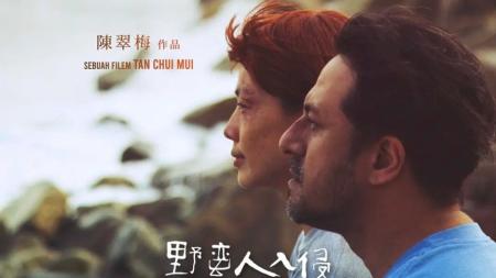 [文]剧情电影《野蛮人入侵》解说文案