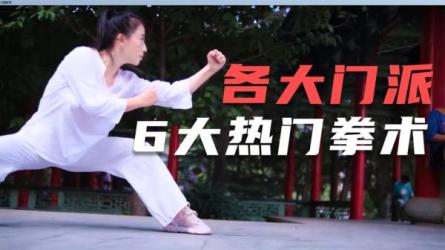 《中华传统武术-大合集》共88份包含众多门派-课程-网盘资源分享