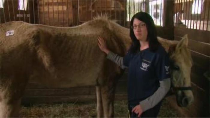 剧情《吉雅丝和罗克珊》电影解说文案-精品-[原创首发]-吾爱文案网