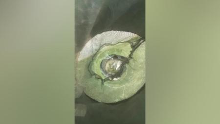 [文]剧情《昨日的果实》电影解说文案