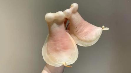 价值4899的2023大平台黑科...到月入1w+29节课-课程-网盘资源分享