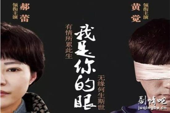 《我是你的眼》_第1-2集_分集剧情(1)