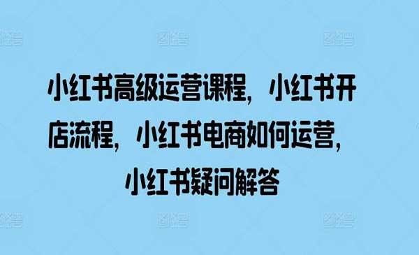 小红书高级运营[吾爱首发]