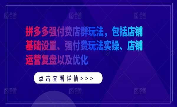 拼多多强付费店群玩法[吾爱首发]