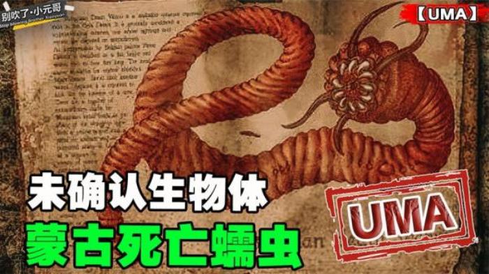 惊悚恐怖片《蒙古死亡蠕虫》-[原创首发]-吾爱文案网