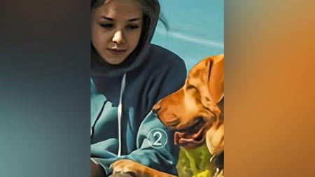 [文]剧情《白色上帝》电影解说文案片源素材