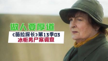 【英剧】探长薇拉第十三季[11-13][2024]1080P英语中字悬...-课程-网盘资源分享