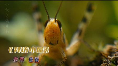 [文]恐怖《拜访小屋》电影解说文案