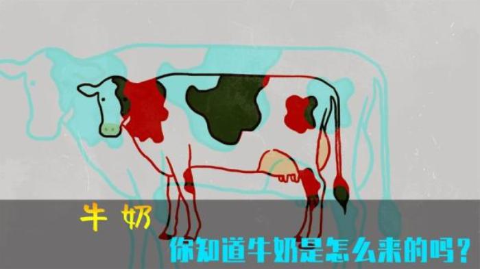 你知道牛奶是怎么变成的吗？科普短片《牛奶》解读你不知道的真相电影解说文案-[原创首发]-吾爱文案网