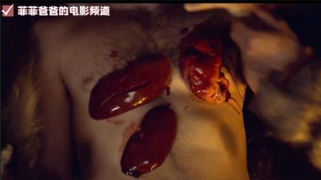 [文]电影《极地重生》解说文案完整版