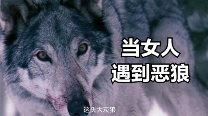 惊悚电影《冷冻》解说文案-[原创首发]-吾爱文案网