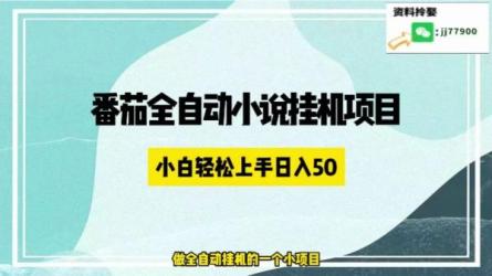 全自动阅读挂机项目，单窗10r，小白上手简单-课程-网盘资源分享