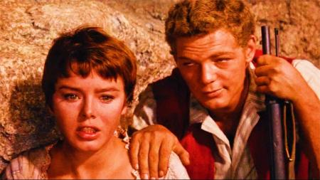 [文]家庭《海角乐园》电影解说文案