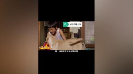 [文]剧情《人狗奇缘》电影解说文案
