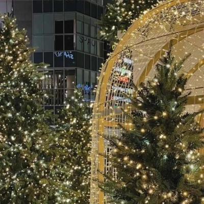 【经典】形容公司面试过程的句子（形容面试过程的句子）