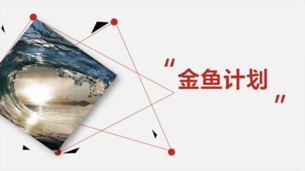 人人有用的零基础理财入门课，人人可实践的理财课程-课程-网盘资源分享