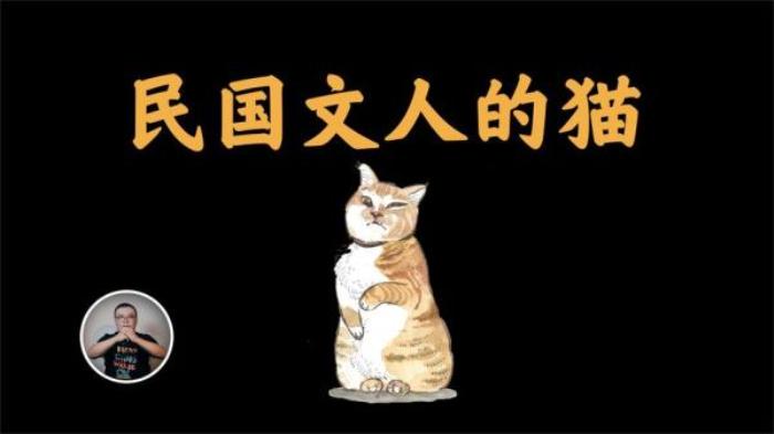 《猫城》森林出现一只巨型猫咪，村民把它拖回村庄，当成了赚钱的工具电影解说文案-[原创首发]-吾爱文案网