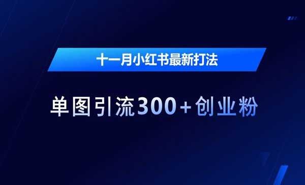 小红书单图引流[吾爱首发]