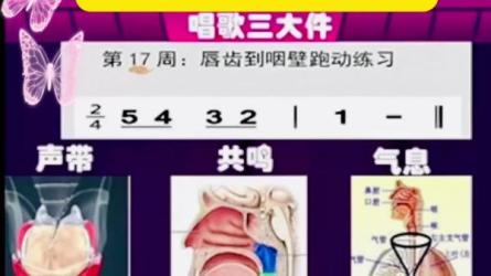 全网最全-付费声乐技巧唱歌技巧乐理课程视唱练耳教程...-课程-网盘资源分享