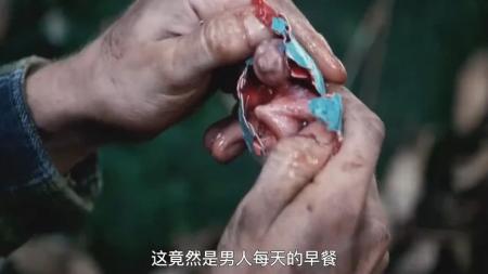 [文]冒险《丛林》电影解说文案 解说素材