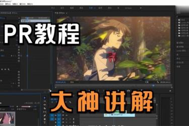 【PR教程】绝对血赚！这视...有PR爱好者收藏！-课程-网盘资源分享