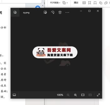 PDF加水印工具 PC版-[吾爱首发]