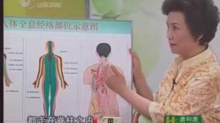 刘霞新版人体十二部刮痧视频课程-课程-网盘资源分享